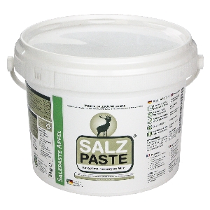 DEUSA Salt paste