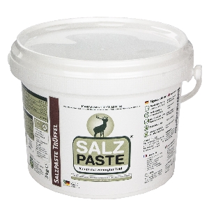 DEUSA Salt paste