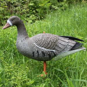 Hunting equipment for hunting grounds and outdoor use von AKAH Decoy coot goose 71681000