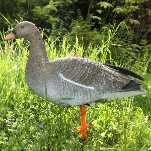 Hunting equipment for hunting grounds and outdoor use von AKAH Decoy Bean Goose 71682000