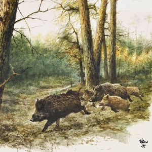 The set table with hunting lodge character von AKAH Jagdservietten Sauen 78443000