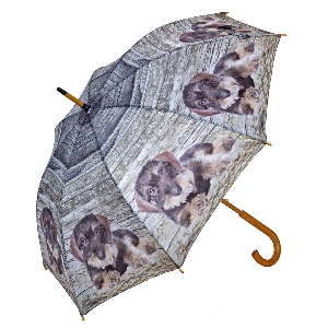 This + That for district alarm von AKAH Rough-haired dachshund umbrella 78742000