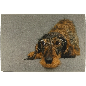 This + That for district alarm von AKAH Dachshund doormat with glasses 78757000