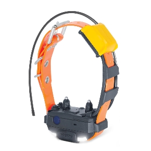 Training for Dogs and Hunting Dogs von AKAH DOGTRA Pathfinder 2 Mini Zusatzhalsband 96427100