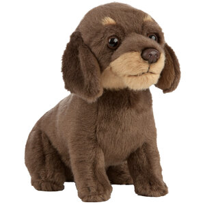 Plush Toy: Wire-Haired Dachshund Puppy